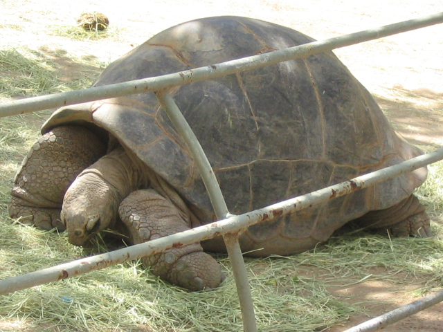 618x457 pixels (202K)